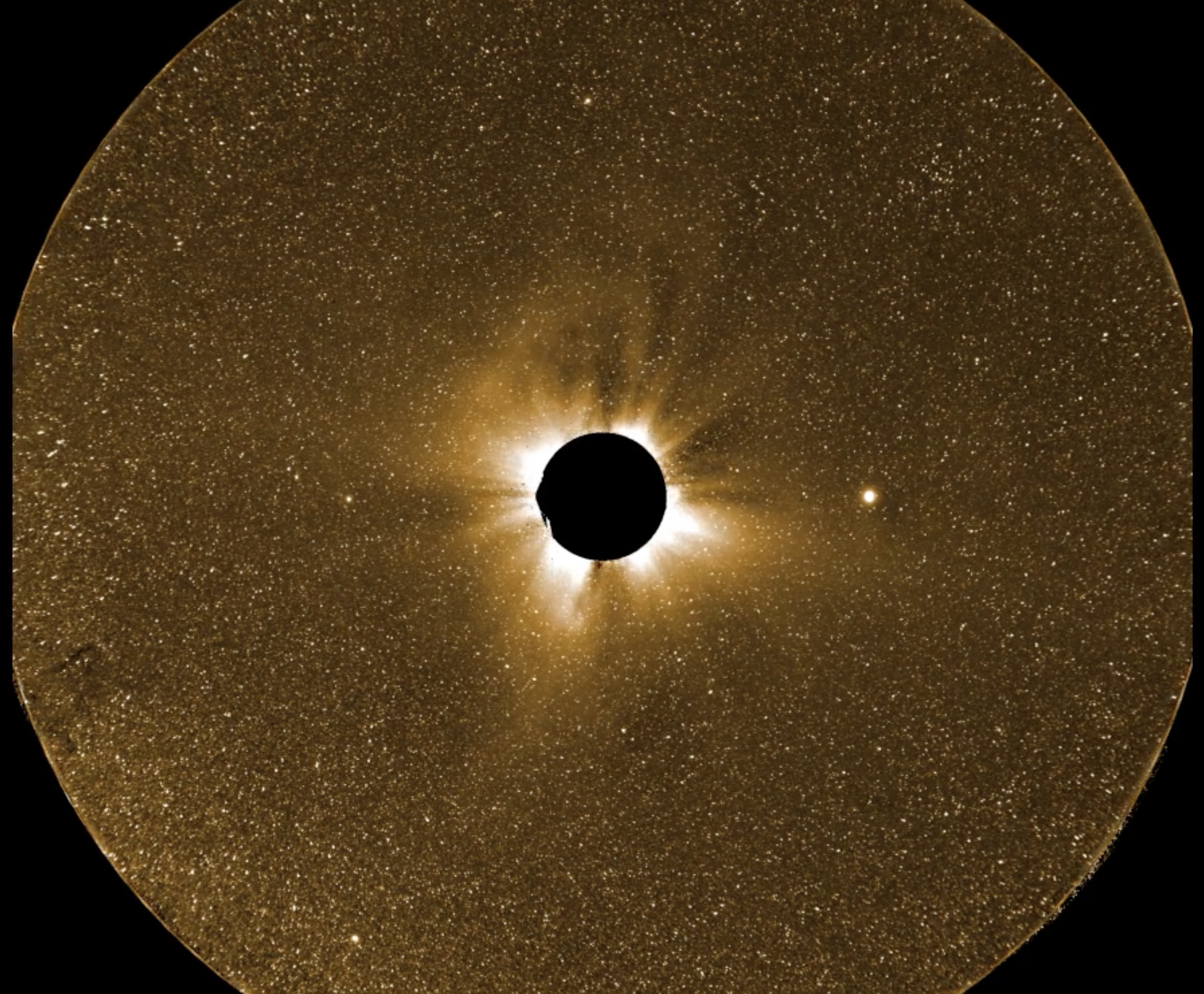 An example PUNCH image